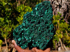 Natural Large Cabinet Size Silky Malachite Specimen x 1 From Kasompe, Congo - Toprock Gemstones and Minerals 