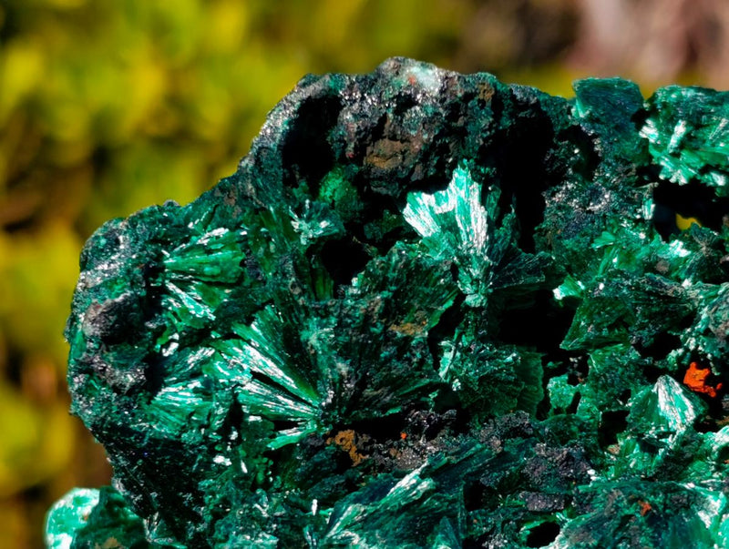 Natural Large Cabinet Size Silky Malachite Specimen x 1 From Kasompe, Congo - Toprock Gemstones and Minerals 