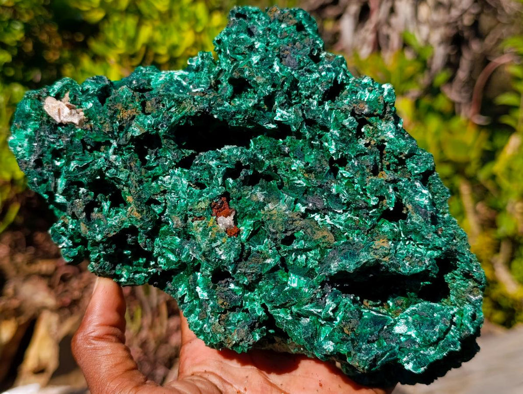 Natural Large Cabinet Size Silky Malachite Specimen x 1 From Kasompe, Congo - Toprock Gemstones and Minerals 