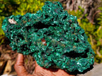 Natural Large Cabinet Size Silky Malachite Specimen x 1 From Kasompe, Congo - Toprock Gemstones and Minerals 