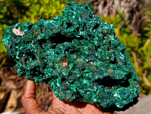 Natural Large Cabinet Size Silky Malachite Specimen x 1 From Kasompe, Congo - Toprock Gemstones and Minerals 