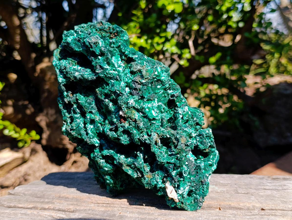Natural Large Cabinet Size Silky Malachite Specimen x 1 From Kasompe, Congo - Toprock Gemstones and Minerals 