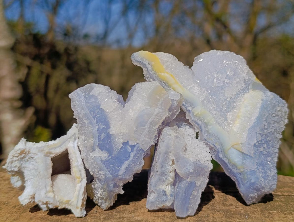 Natural Etched Blue Chalcedony Specimens x 12 From Nsanje, Malawi - Toprock Gemstones and Minerals 