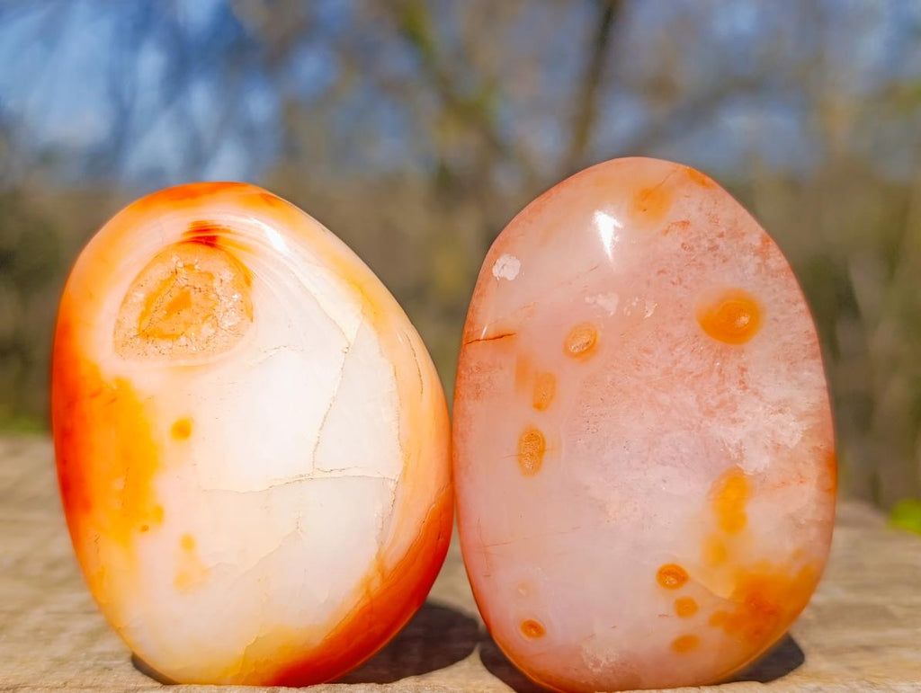 Polished Carnelian Agate Gemstone Galets x 12 From Madagascar - Toprock Gemstones and Minerals 