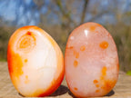Polished Carnelian Agate Gemstone Galets x 12 From Madagascar - Toprock Gemstones and Minerals 