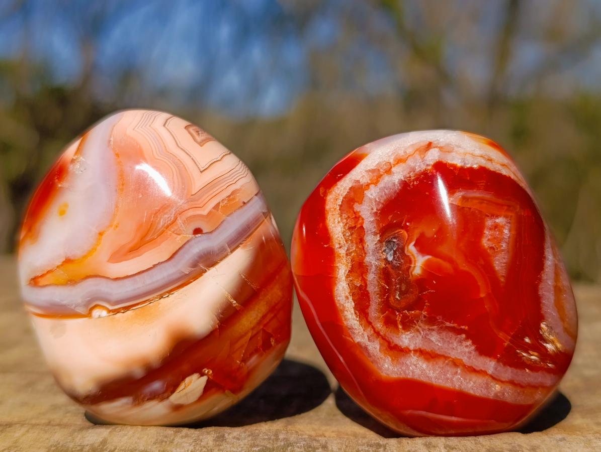 Polished Carnelian Agate Gemstone Galets x 12 From Madagascar - Toprock Gemstones and Minerals 