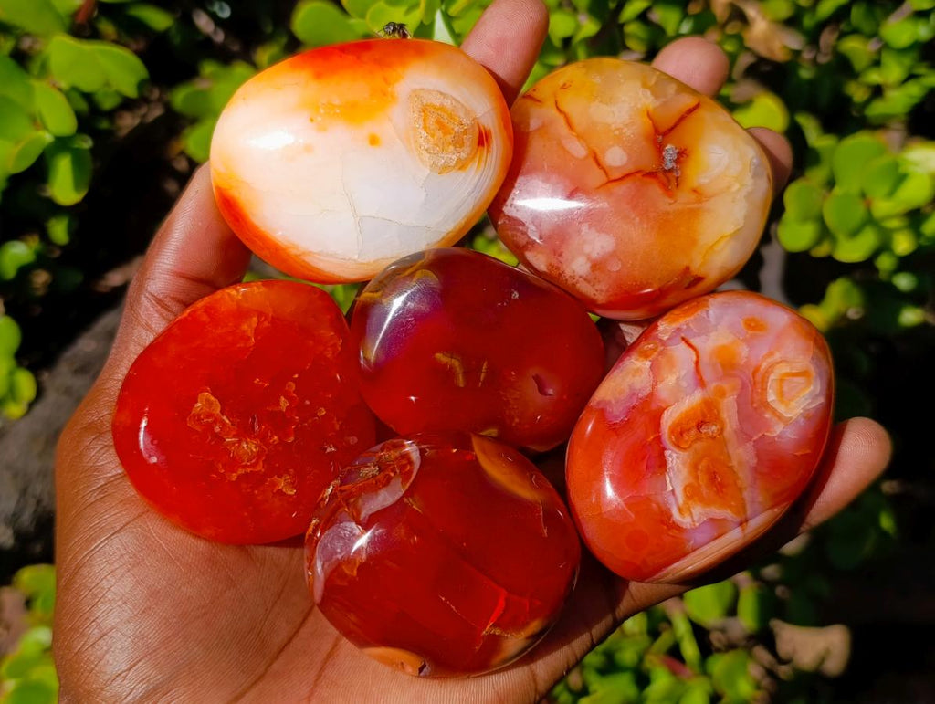 Polished Carnelian Agate Gemstone Galets x 12 From Madagascar - Toprock Gemstones and Minerals 