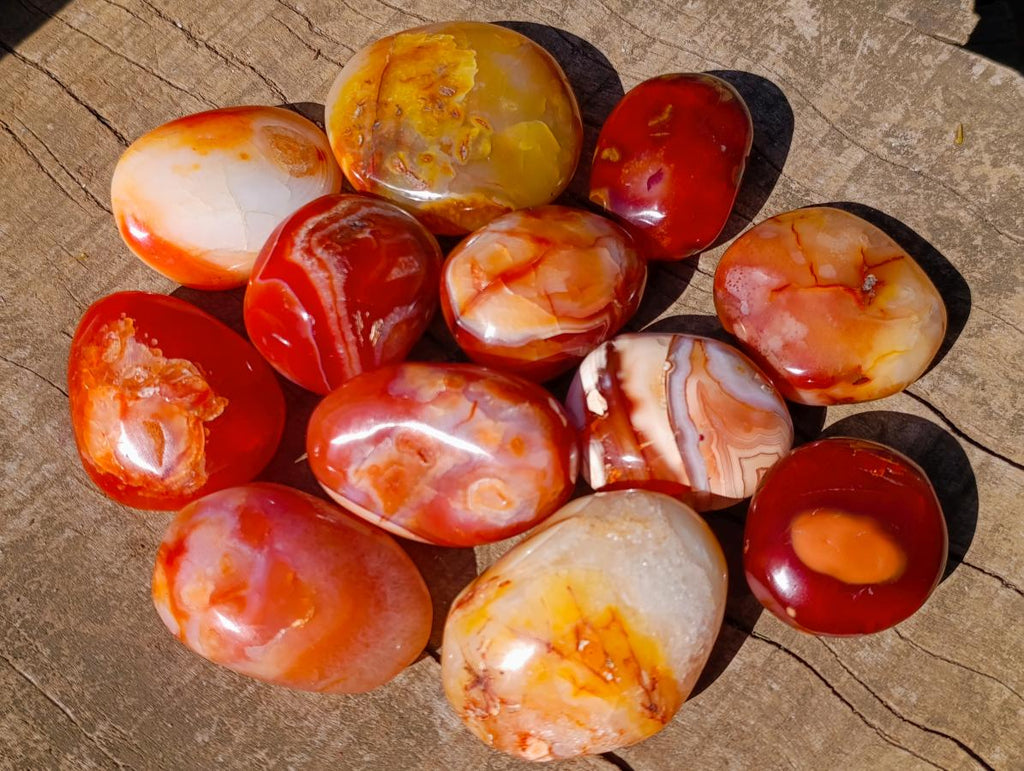 Polished Carnelian Agate Gemstone Galets x 12 From Madagascar - Toprock Gemstones and Minerals 