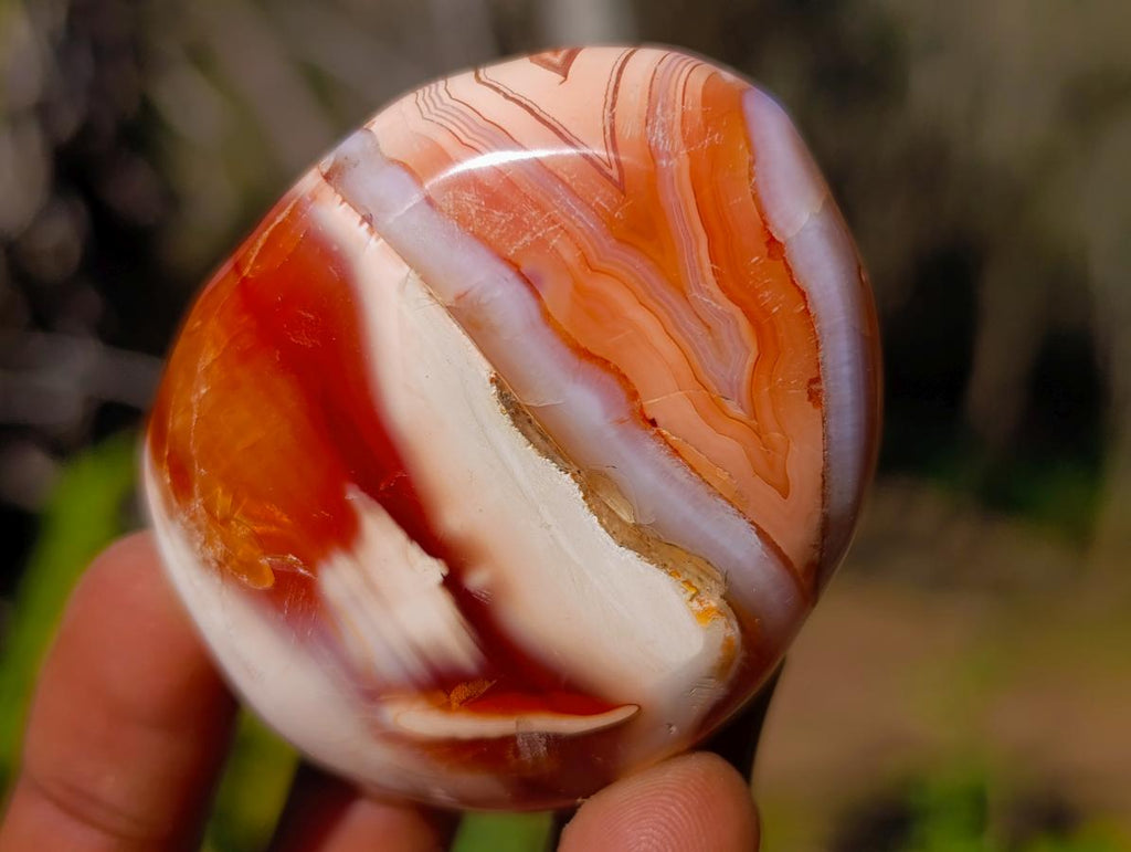 Polished Carnelian Agate Gemstone Galets x 12 From Madagascar - Toprock Gemstones and Minerals 