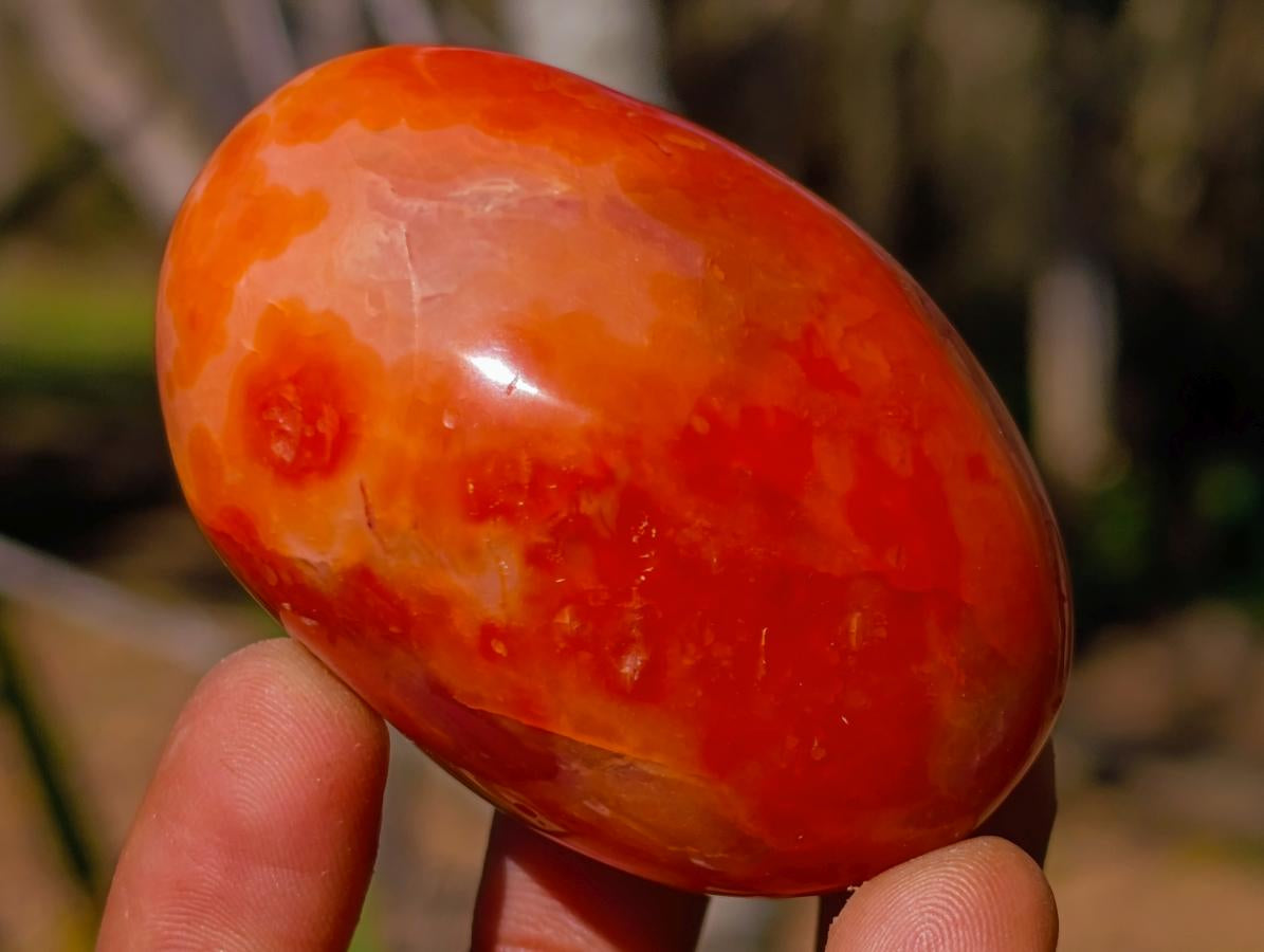 Polished Carnelian Agate Gemstone Galets x 12 From Madagascar - Toprock Gemstones and Minerals 