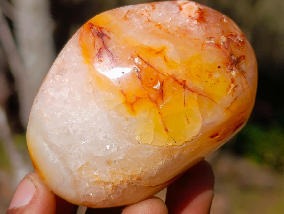 Polished Carnelian Agate Gemstone Galets x 12 From Madagascar - Toprock Gemstones and Minerals 