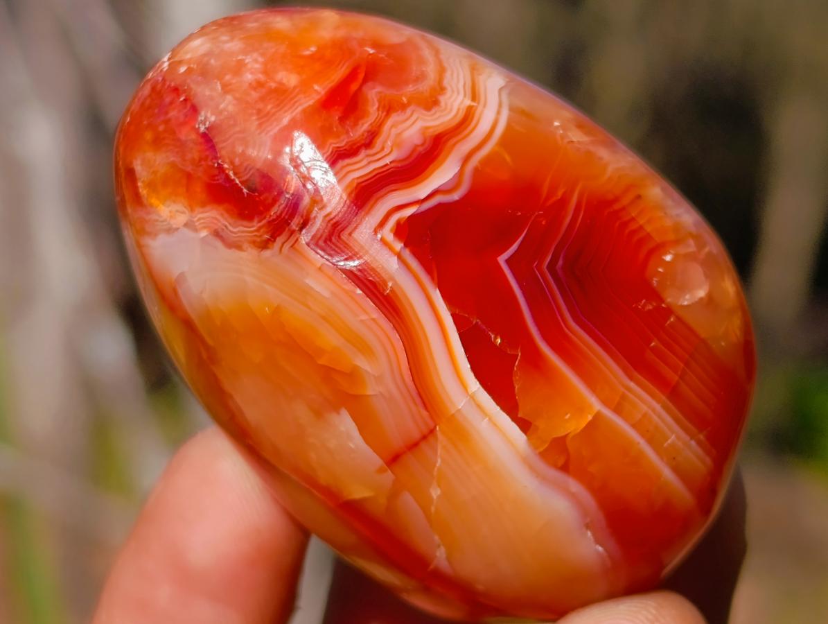 Polished Carnelian Agate Gemstone Galets x 12 From Madagascar - Toprock Gemstones and Minerals 