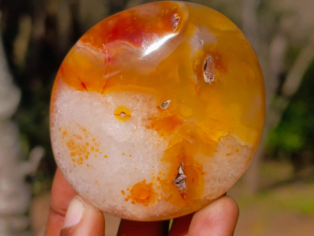 Polished Carnelian Agate Gemstone Galets x 12 From Madagascar - Toprock Gemstones and Minerals 