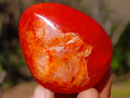 Polished Carnelian Agate Gemstone Galets x 12 From Madagascar - Toprock Gemstones and Minerals 