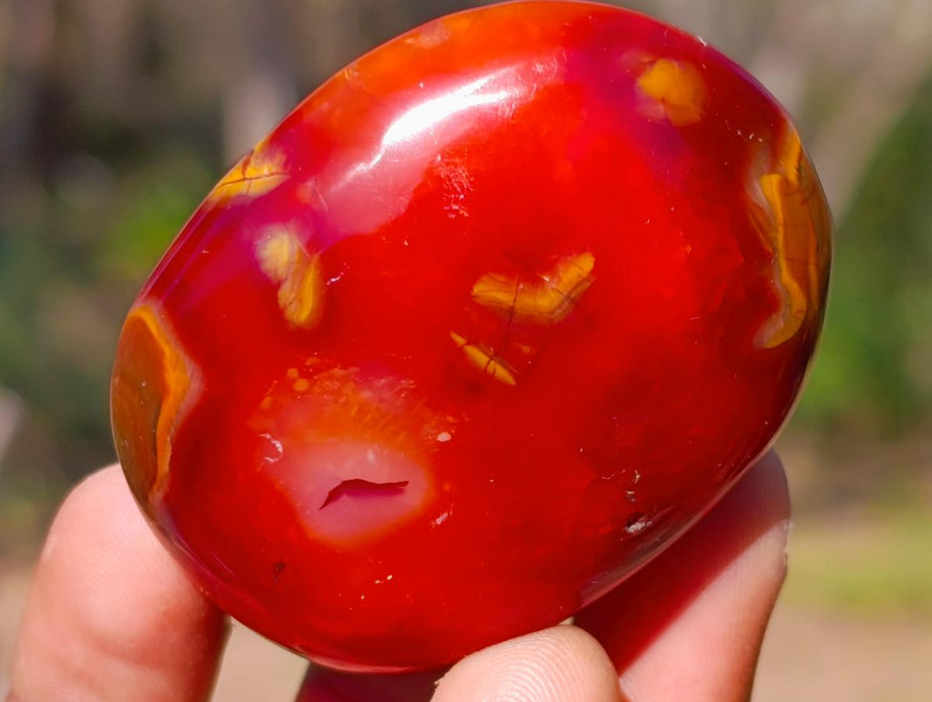 Polished Carnelian Agate Gemstone Galets x 12 From Madagascar - Toprock Gemstones and Minerals 