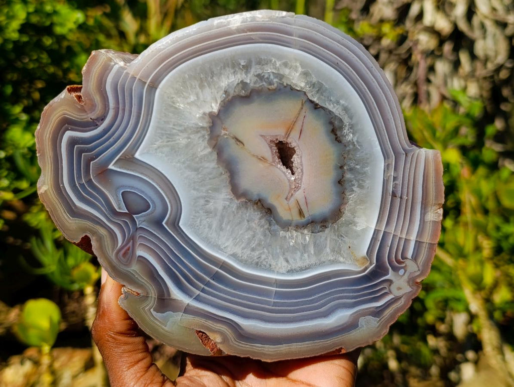 Polished One Side Red Large Shashe River Agate Nodule x 1 From Shashe River, Zimbabwe - Toprock Gemstones and Minerals 