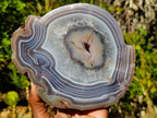Polished One Side Red Large Shashe River Agate Nodule x 1 From Shashe River, Zimbabwe - Toprock Gemstones and Minerals 
