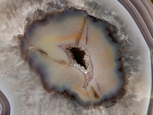 Polished One Side Red Large Shashe River Agate Nodule x 1 From Shashe River, Zimbabwe - Toprock Gemstones and Minerals 
