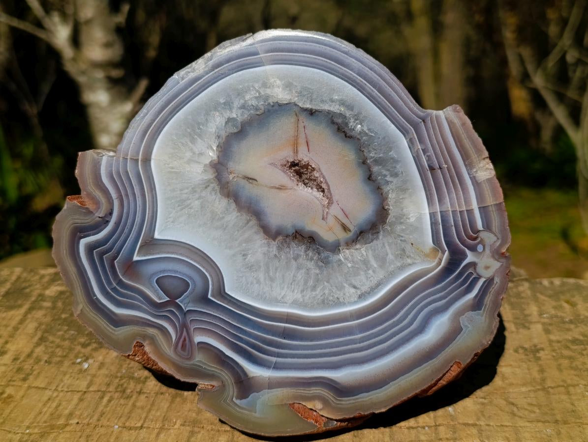 Polished One Side Red Large Shashe River Agate Nodule x 1 From Shashe River, Zimbabwe - Toprock Gemstones and Minerals 