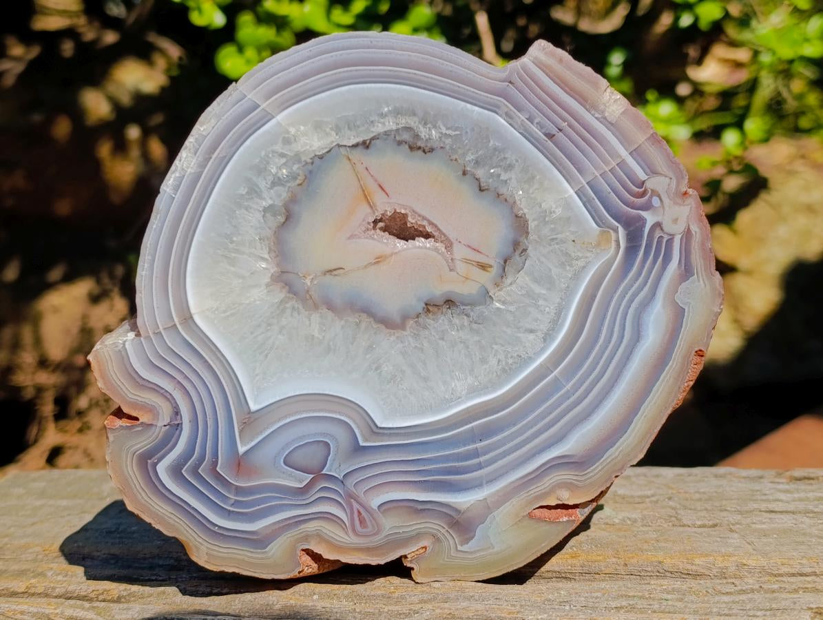 Polished One Side Red Large Shashe River Agate Nodule x 1 From Shashe River, Zimbabwe - Toprock Gemstones and Minerals 