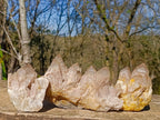 Natural Cascading White Phantom Smokey Luena Quartz Clusters x 3 From Luena, Congo - Toprock Gemstones and Minerals 