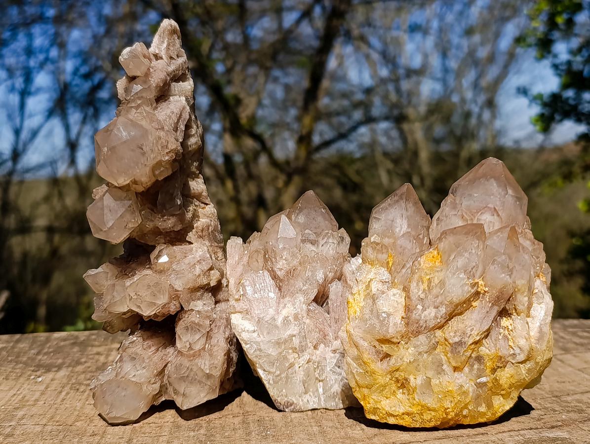 Natural Cascading White Phantom Smokey Luena Quartz Clusters x 3 From Luena, Congo - Toprock Gemstones and Minerals 