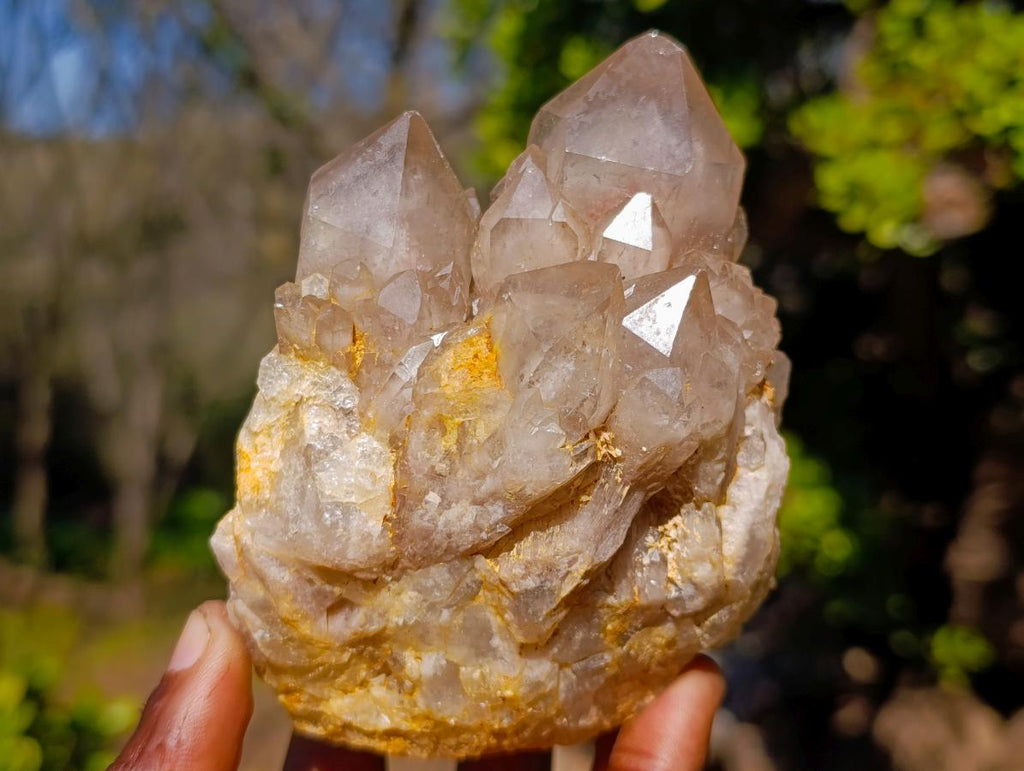 Natural Cascading White Phantom Smokey Luena Quartz Clusters x 3 From Luena, Congo - Toprock Gemstones and Minerals 
