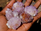 Natural Spirit Amethyst Crystals x 35 From Boekenhouthoek, South Africa - Toprock Gemstones and Minerals 
