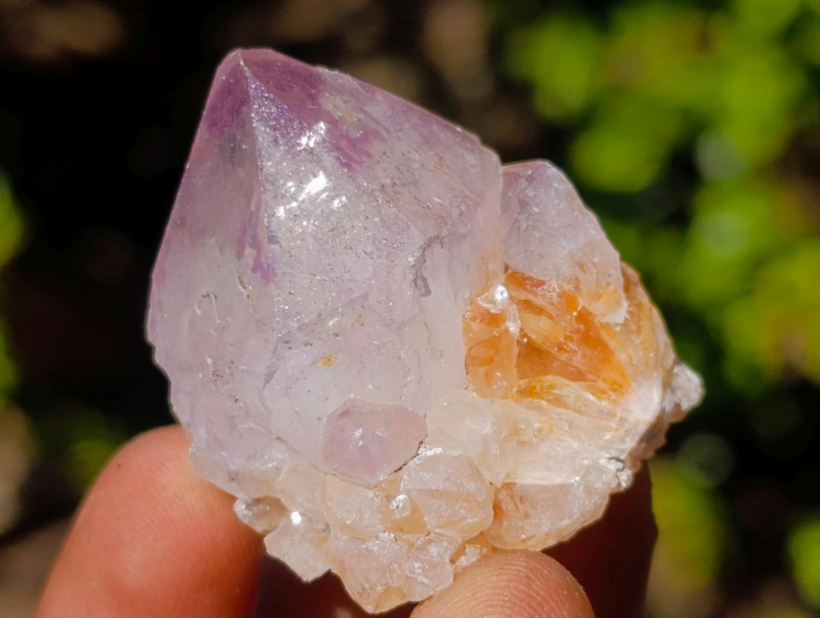 Natural Spirit Amethyst Crystals x 35 From Boekenhouthoek, South Africa - Toprock Gemstones and Minerals 