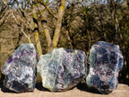Natural Watermelon Fluorite Cobbed Specimens x 10 From Uis, Namibia - Toprock Gemstones and Minerals 