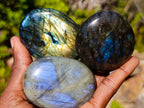 Polished Labradorite Palm Stones x 12 From Madagascar - Toprock Gemstones and Minerals 