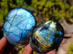 Polished Labradorite Palm Stones x 12 From Madagascar - Toprock Gemstones and Minerals 