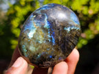 Polished Labradorite Palm Stones x 12 From Madagascar - Toprock Gemstones and Minerals 