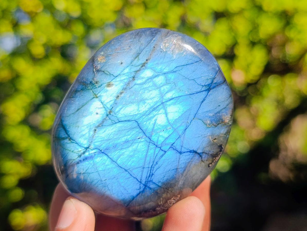 Polished Labradorite Palm Stones x 12 From Madagascar - Toprock Gemstones and Minerals 