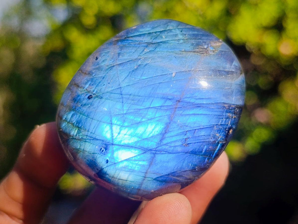 Polished Labradorite Palm Stones x 12 From Madagascar - Toprock Gemstones and Minerals 