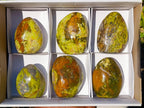 Polished Green Opal Standing Display Pieces x 6 From Betroka, Madagascar - Toprock Gemstones and Minerals 