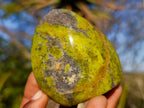 Polished Green Opal Standing Display Pieces x 6 From Betroka, Madagascar - Toprock Gemstones and Minerals 