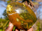Polished Green Opal Standing Display Pieces x 6 From Betroka, Madagascar - Toprock Gemstones and Minerals 