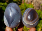 Polished and Natural Shashe River Agate Eggs x 12 From Shashe River, Zimbabwe - Toprock Gemstones and Minerals 