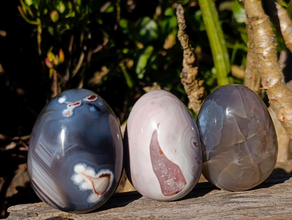 Polished and Natural Shashe River Agate Eggs x 12 From Shashe River, Zimbabwe - Toprock Gemstones and Minerals 