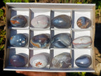 Polished and Natural Shashe River Agate Eggs x 12 From Shashe River, Zimbabwe - Toprock Gemstones and Minerals 