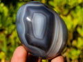 Polished and Natural Shashe River Agate Eggs x 12 From Shashe River, Zimbabwe - Toprock Gemstones and Minerals 