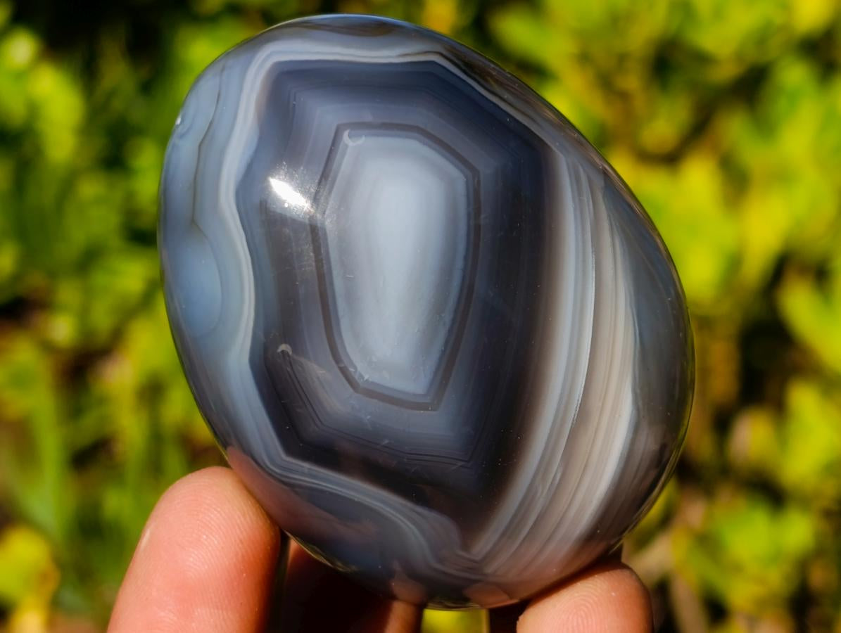 Polished and Natural Shashe River Agate Eggs x 12 From Shashe River, Zimbabwe - Toprock Gemstones and Minerals 