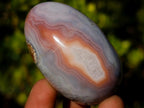 Polished and Natural Shashe River Agate Eggs x 12 From Shashe River, Zimbabwe - Toprock Gemstones and Minerals 