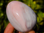 Polished and Natural Shashe River Agate Eggs x 12 From Shashe River, Zimbabwe - Toprock Gemstones and Minerals 