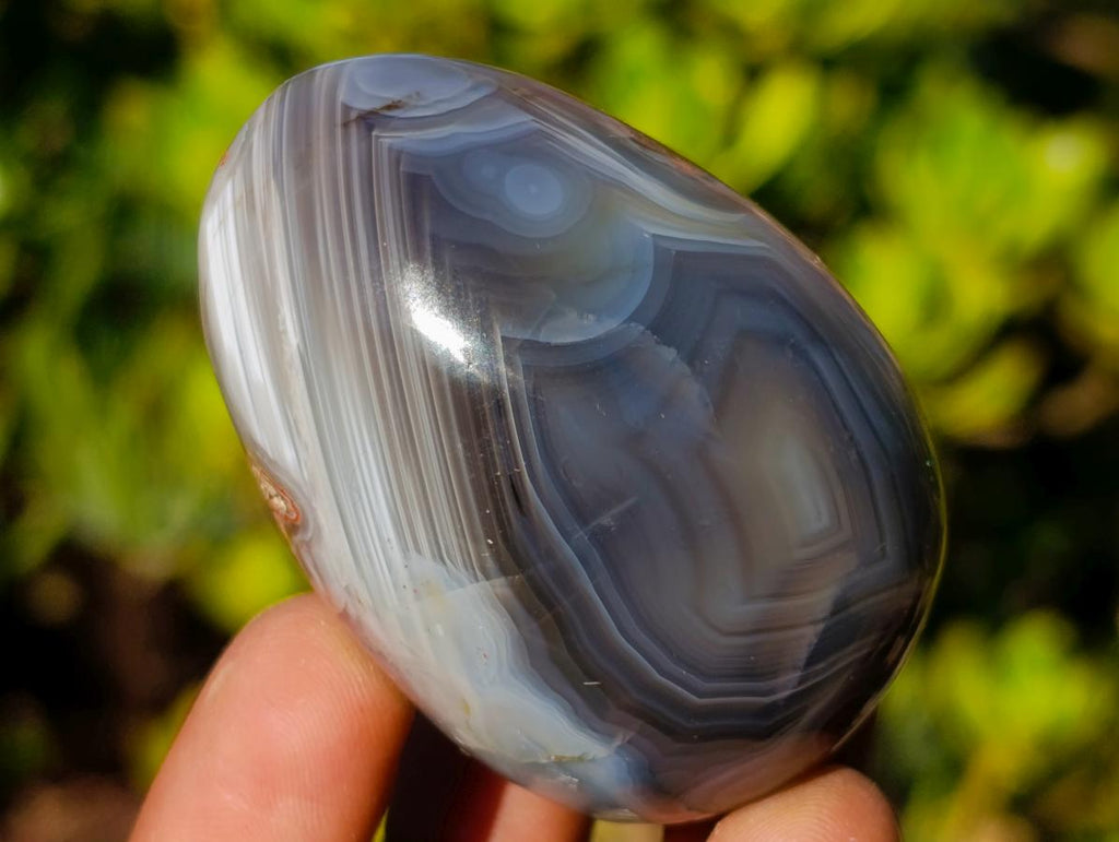 Polished and Natural Shashe River Agate Eggs x 12 From Shashe River, Zimbabwe - Toprock Gemstones and Minerals 