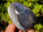Polished and Natural Shashe River Agate Eggs x 12 From Shashe River, Zimbabwe - Toprock Gemstones and Minerals 