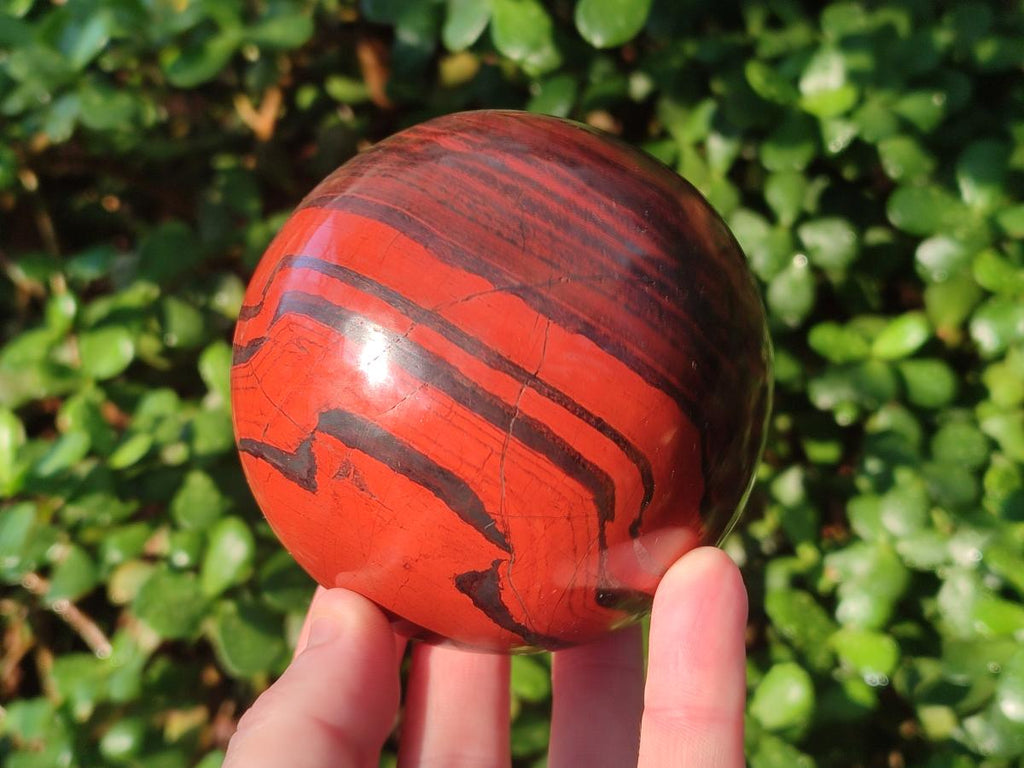 Polished Banded Red Jasper Spheres with Siliver Hematite x 2 From Zimbabwe - Toprock Gemstones and Minerals 