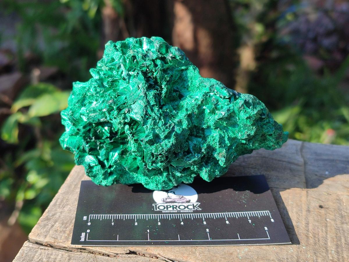 Natural Silky Malachite Specimens x 6 From Kasompe, Congo - Toprock Gemstones and Minerals 