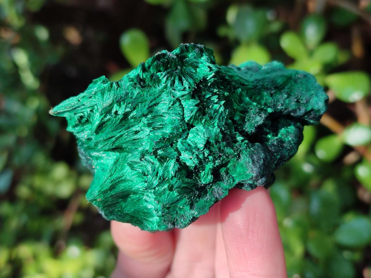 Natural Silky Malachite Specimens x 6 From Kasompe, Congo - Toprock Gemstones and Minerals 
